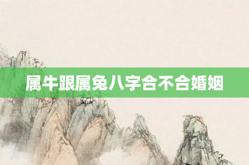 属牛跟属兔八字合不合婚姻