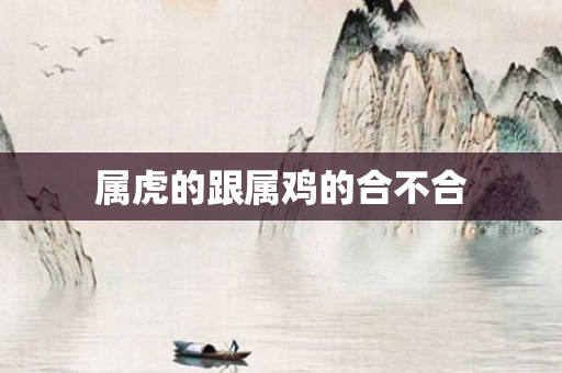 属虎的跟属鸡的合不合