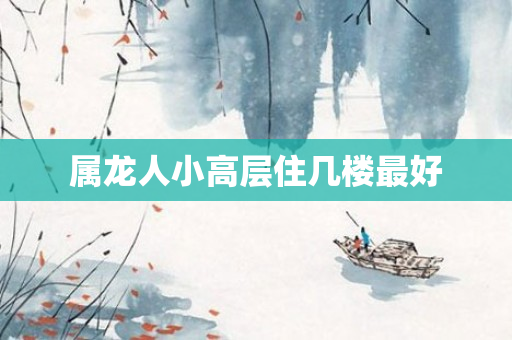 属龙人小高层住几楼更好