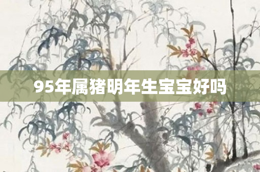 95年属猪明年生宝宝好吗