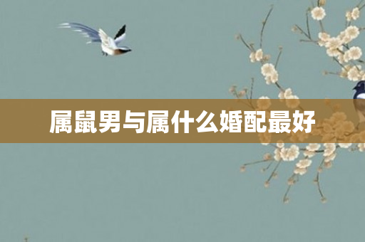 属鼠男与属什么婚配更好