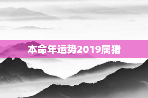 本命年运势2019属猪