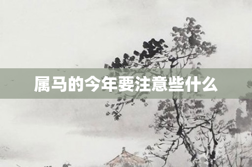 属马的今年要注意些什么