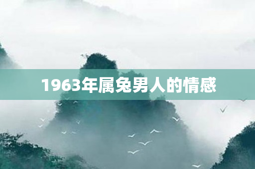 1963年属兔男人的情感