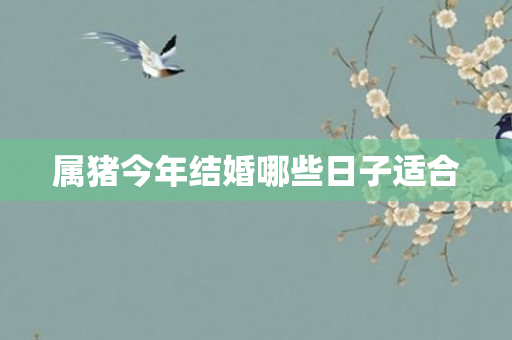 属猪今年结婚哪些日子适合