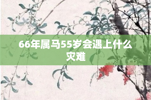 66年属马55岁会遇上什么灾难