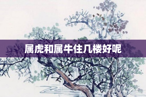 属虎和属牛住几楼好呢