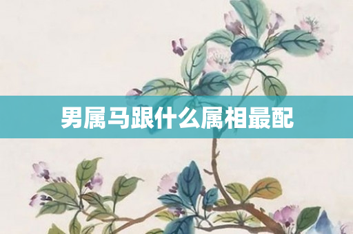 男属马跟什么属相最配