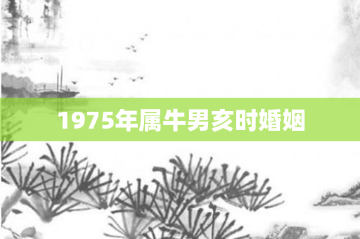 1975年属牛男亥时婚姻