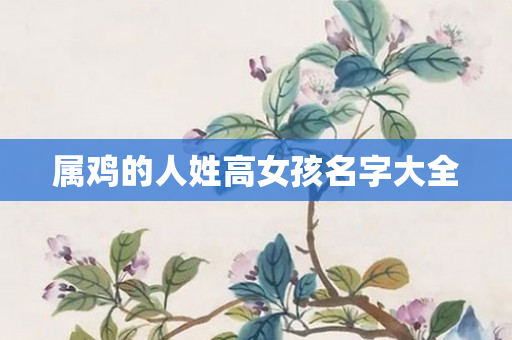 属鸡的人姓高女孩名字大全