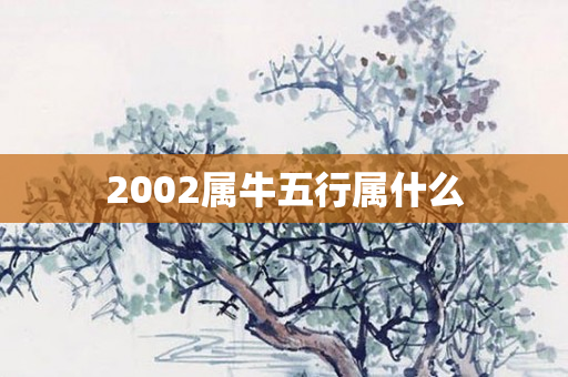 2002属牛五行属什么