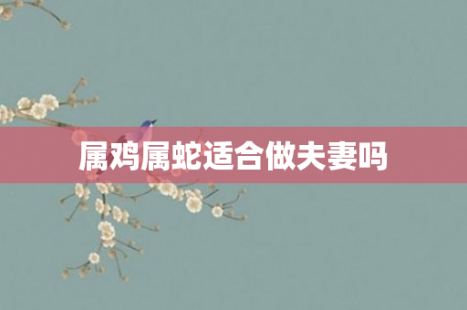 属鸡属蛇适合做夫妻吗