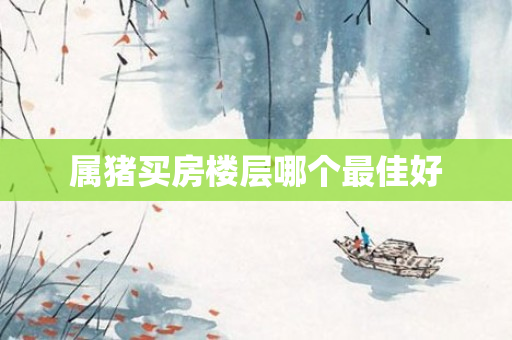 属猪买房楼层哪个更佳好