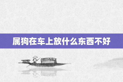 属狗在车上放什么东西不好