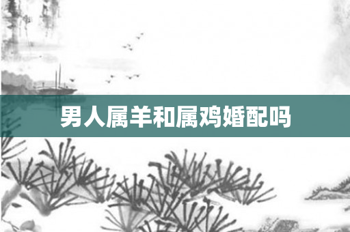 男人属羊和属鸡婚配吗