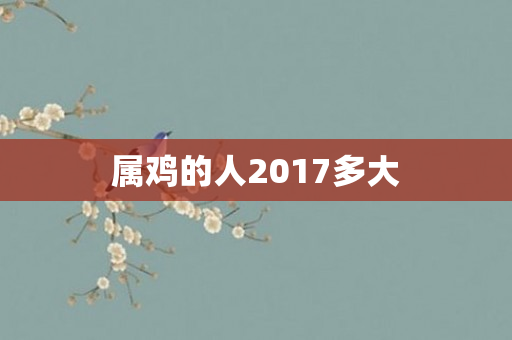 属鸡的人2017多大