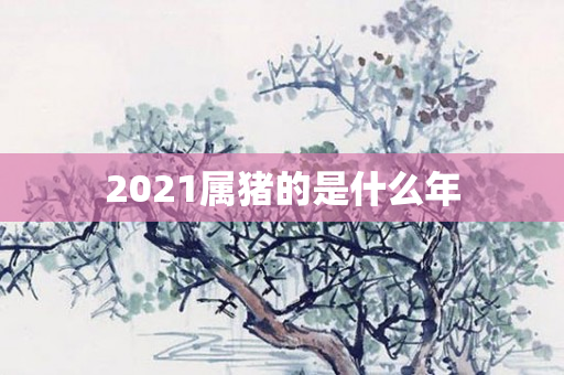 2021属猪的是什么年