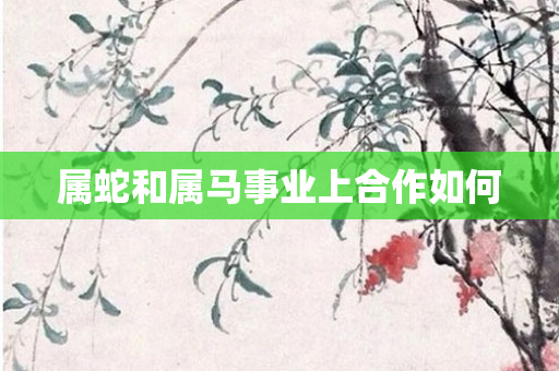 属蛇和属马事业上合作如何