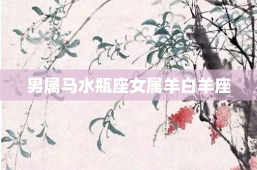 男属马水瓶座女属羊白羊座
