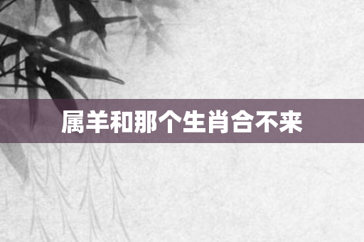 属羊和那个生肖合不来