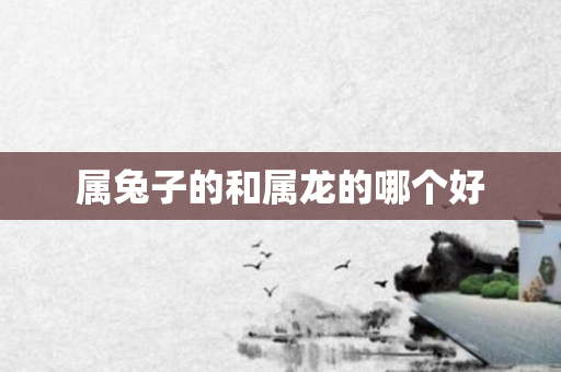 属兔子的和属龙的哪个好