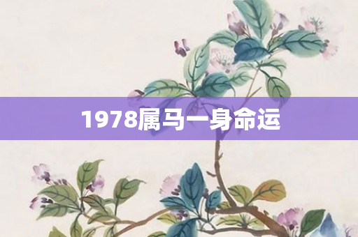 1978属马一身命运