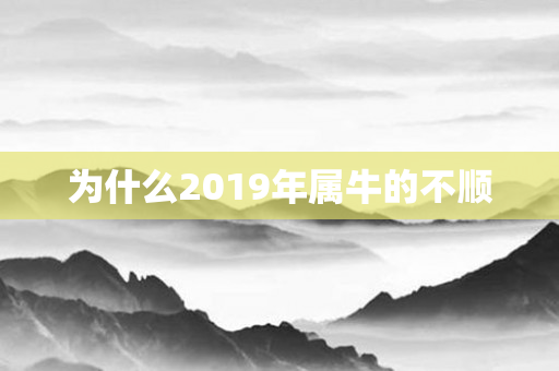 为什么2019年属牛的不顺