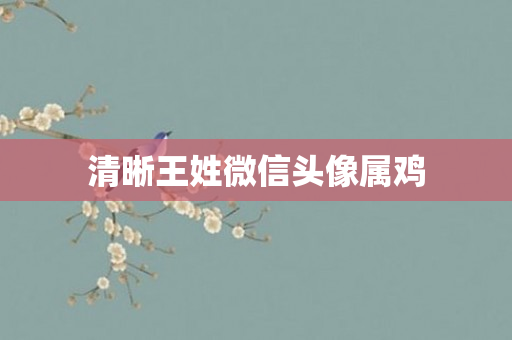 清晰王姓微信头像属鸡