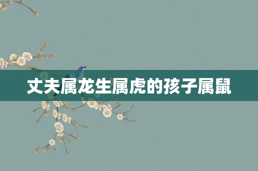 丈夫属龙生属虎的孩子属鼠
