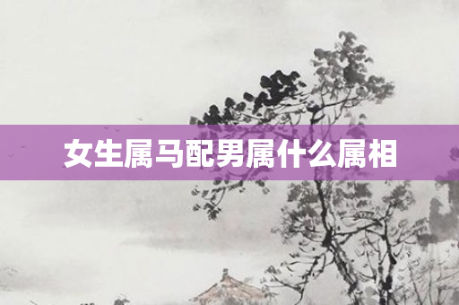 女生属马配男属什么属相