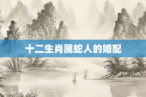 十二生肖属蛇人的婚配
