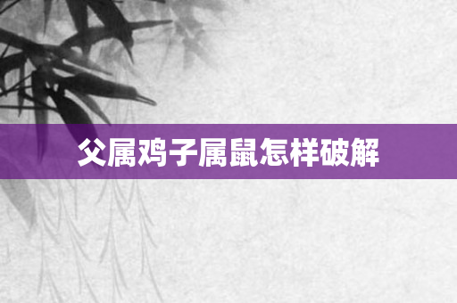 父属鸡子属鼠怎样破解