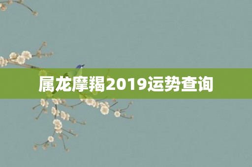 属龙摩羯2019运势查询