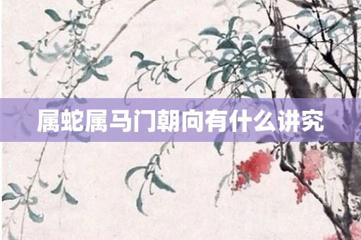 属蛇属马门朝向有什么讲究