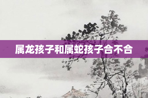 属龙孩子和属蛇孩子合不合