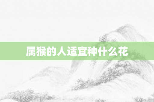 属猴的人适宜种什么花