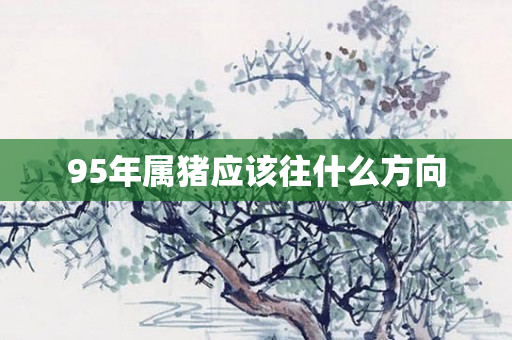 95年属猪应该往什么方向