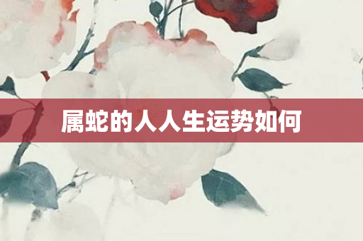 属蛇的人人生运势如何