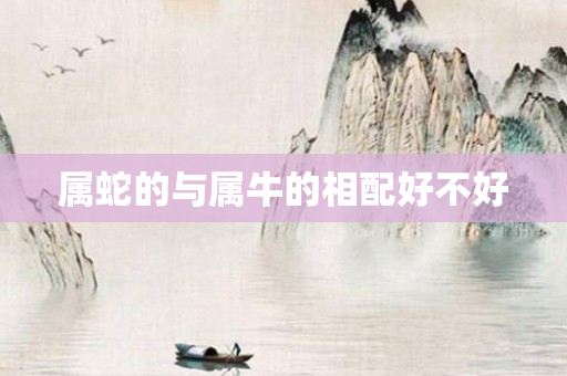 属蛇的与属牛的相配好不好