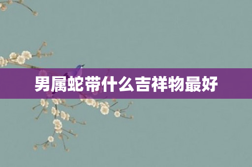 男属蛇带什么吉祥物更好