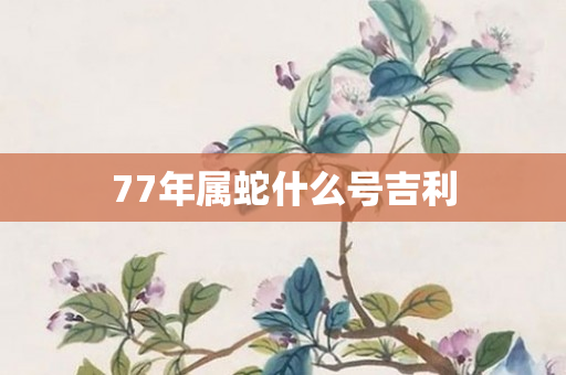 77年属蛇什么号吉利