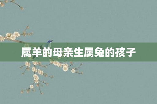 属羊的母亲生属兔的孩子