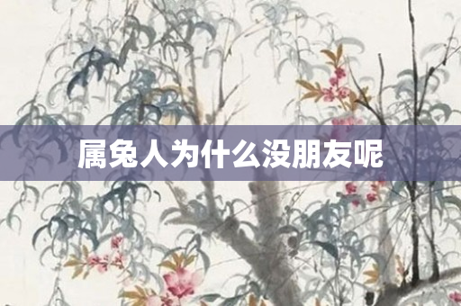属兔人为什么没朋友呢