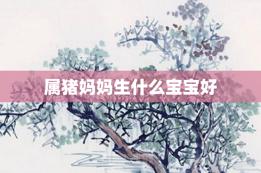 属猪妈妈生什么宝宝好