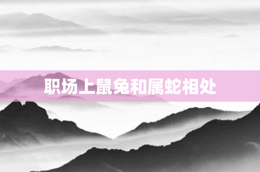 职场上鼠兔和属蛇相处