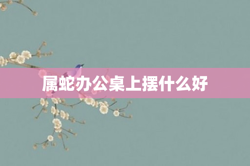 属蛇办公桌上摆什么好