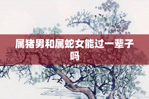 属猪男和属蛇女能过一辈子吗
