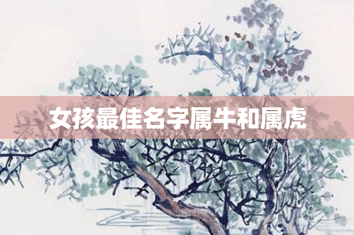 女孩更佳名字属牛和属虎