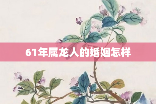 61年属龙人的婚姻怎样