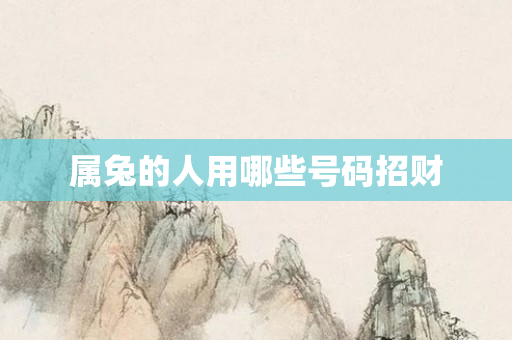 属兔的人用哪些号码招财